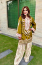 Ethnic Silk embroidered 2pc Article