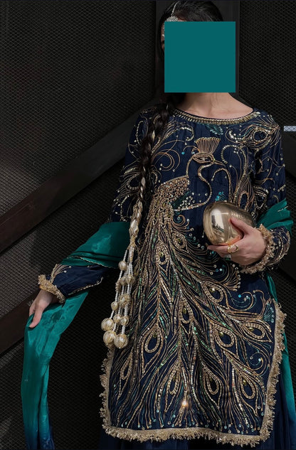 9000 Velvet Embroidered 3pc Article Peacock Design