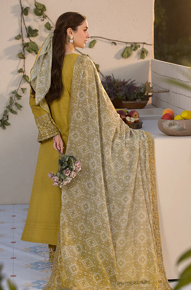 Laam Trending Dhanak 3 Piece with Embroidered Patches