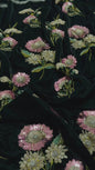 9000 Velvet Embroidered 2pc Article  Dark Green color